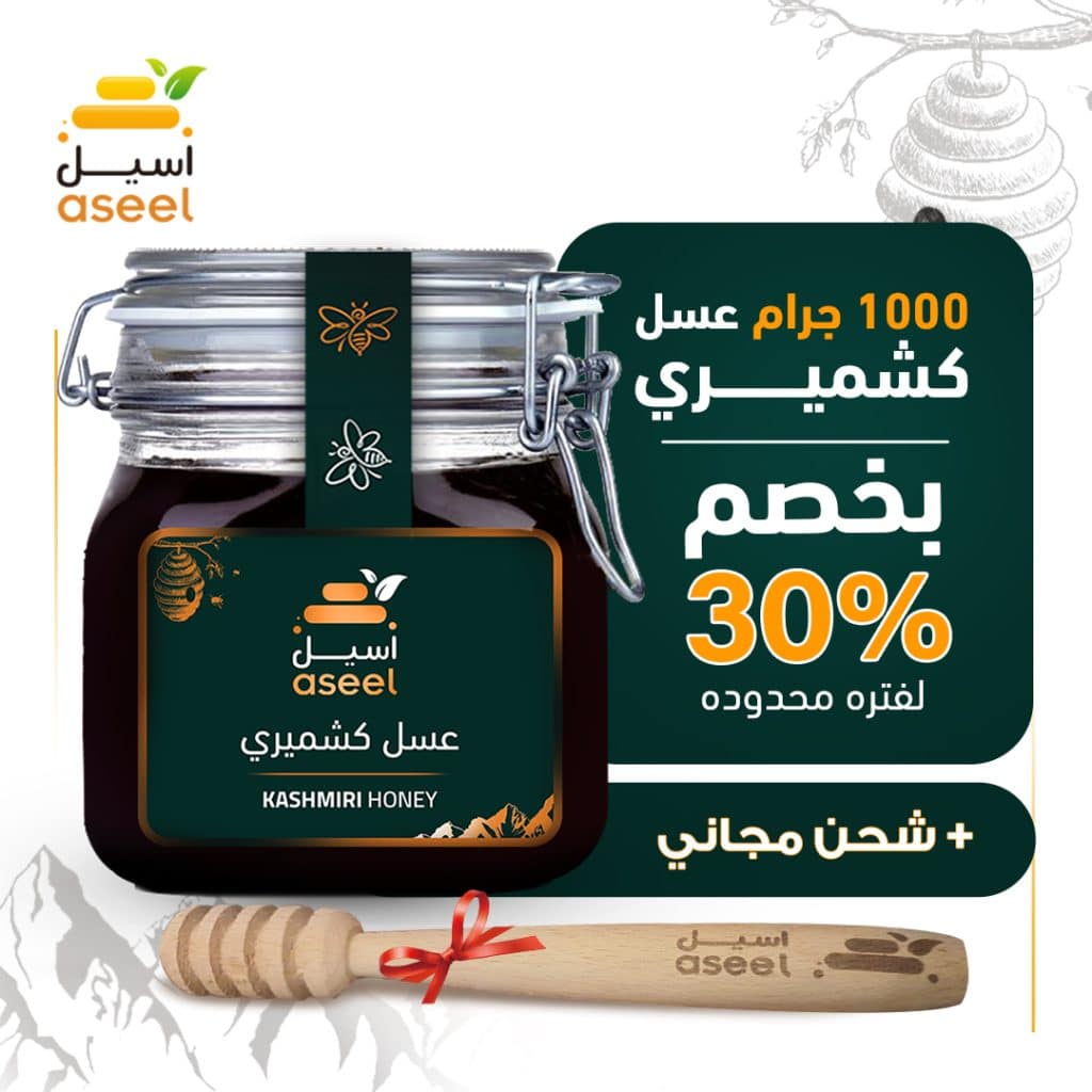 الصفحة الرئيسية