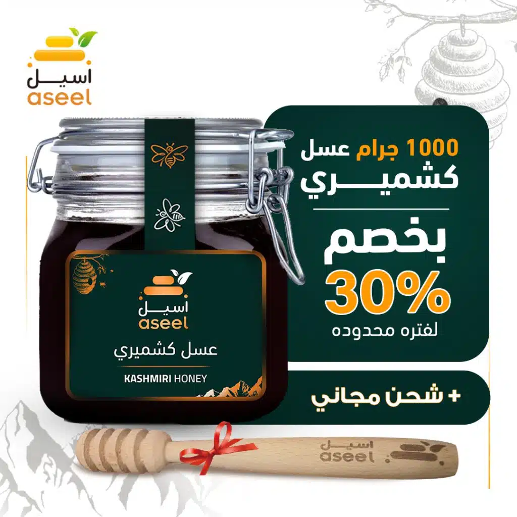 الصفحة الرئيسية