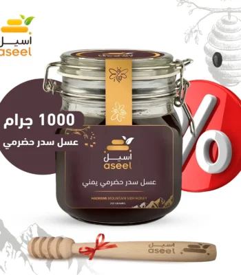 الصفحة الرئيسية