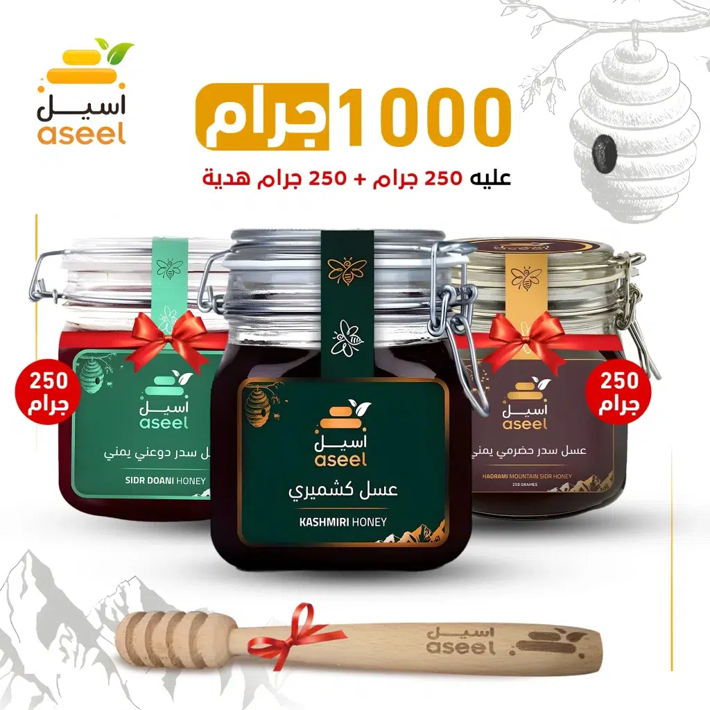 الصفحة الرئيسية
