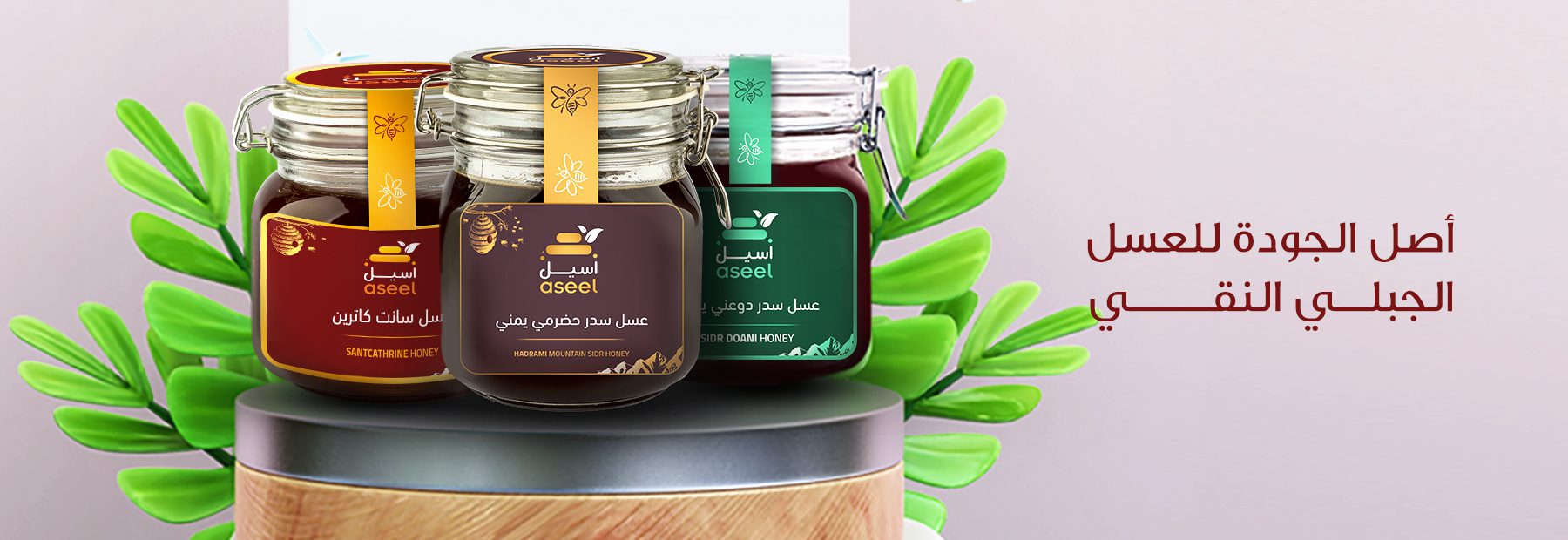 الصفحة الرئيسية