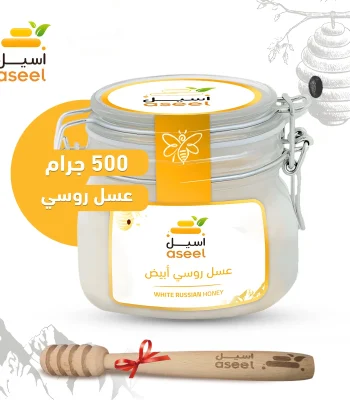 الصفحة الرئيسية
