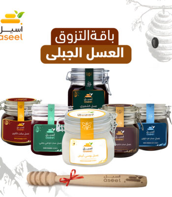 الصفحة الرئيسية
