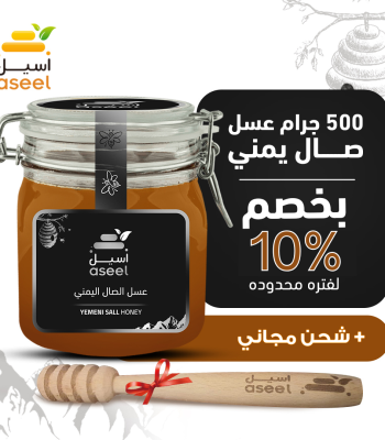 الصفحة الرئيسية