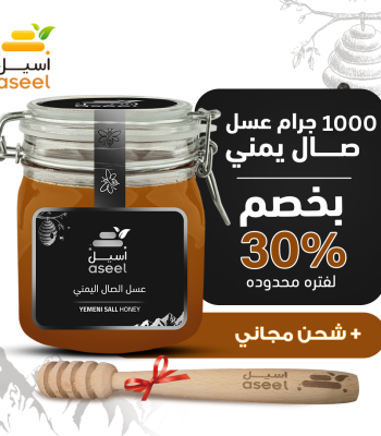 الصفحة الرئيسية