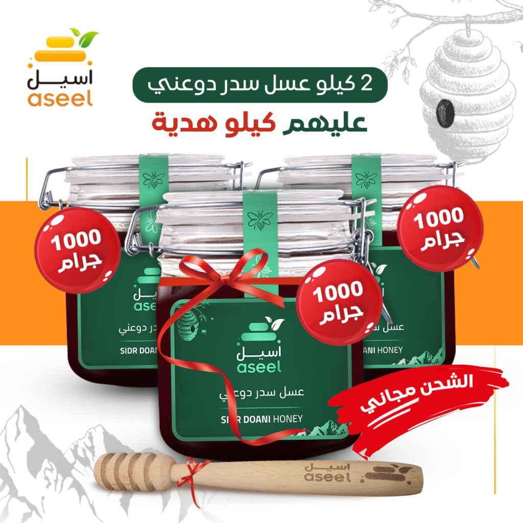 الصفحة الرئيسية