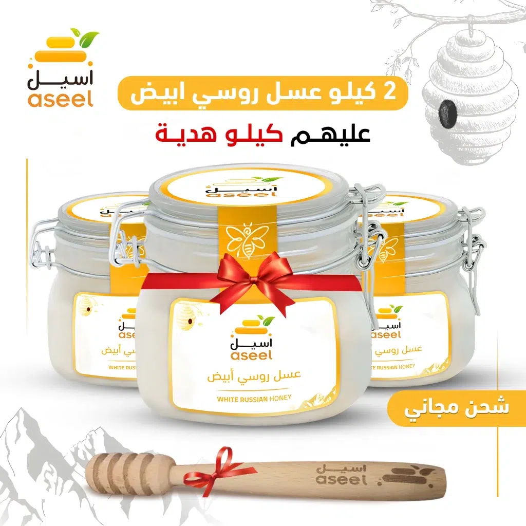الصفحة الرئيسية