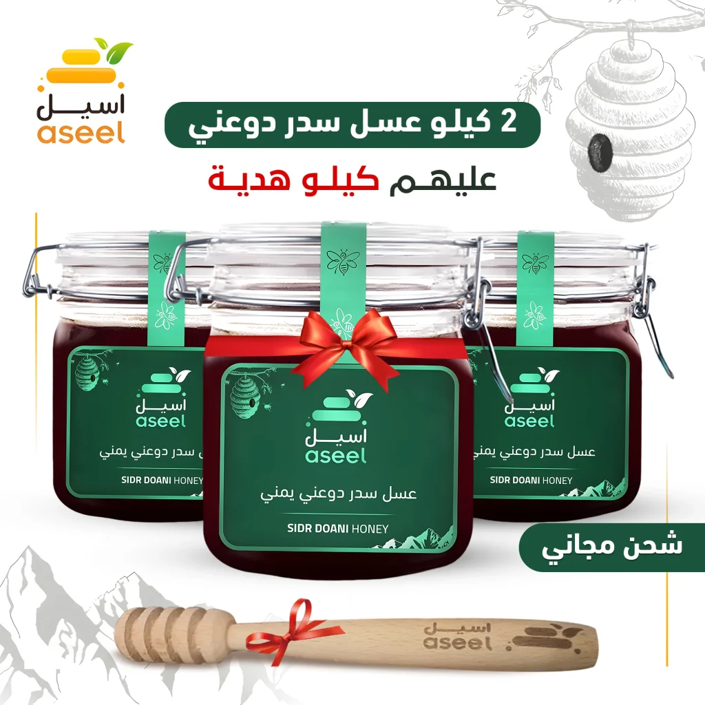 الصفحة الرئيسية