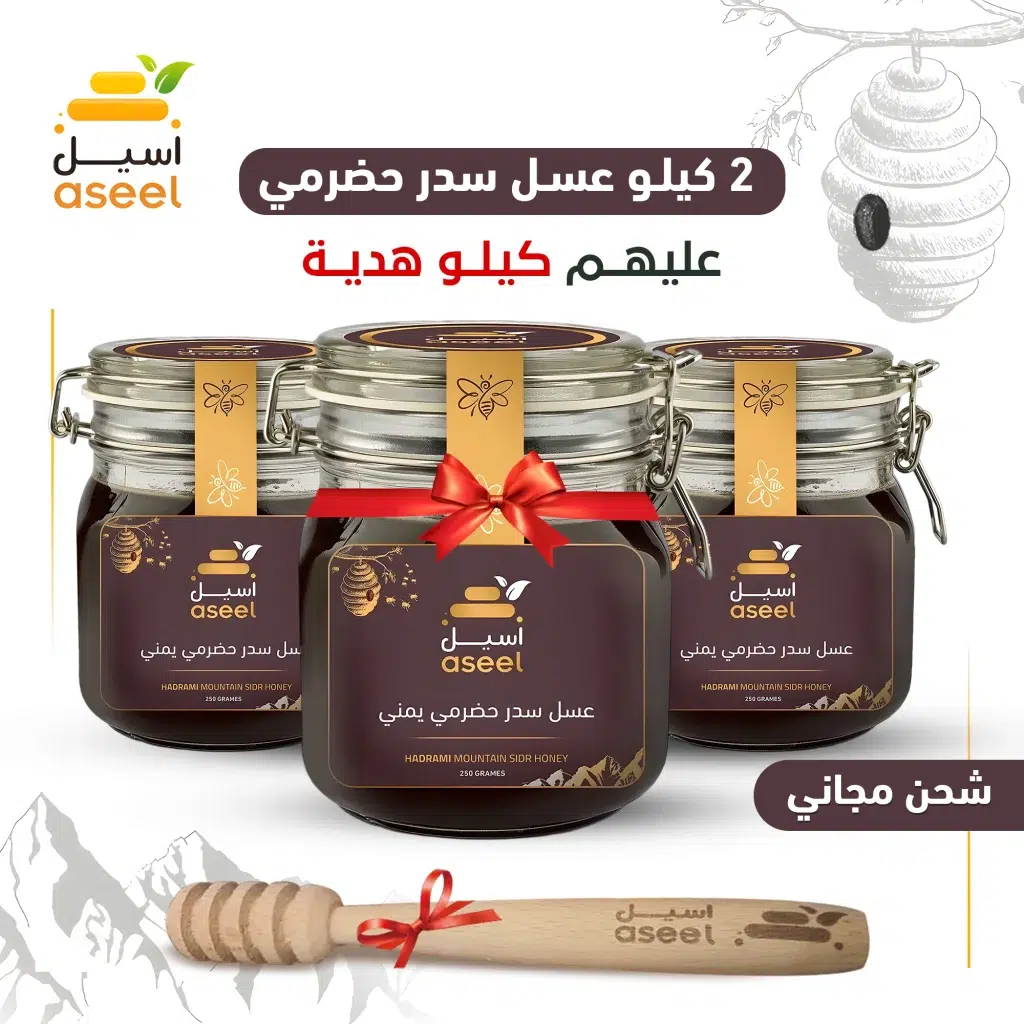 الصفحة الرئيسية