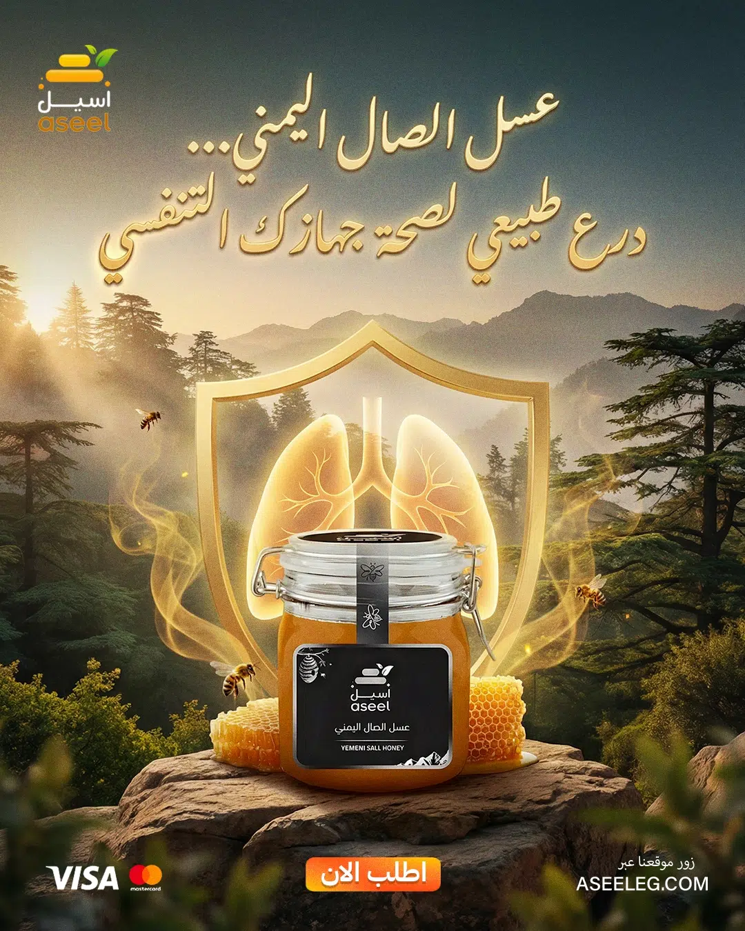 الصفحة الرئيسية