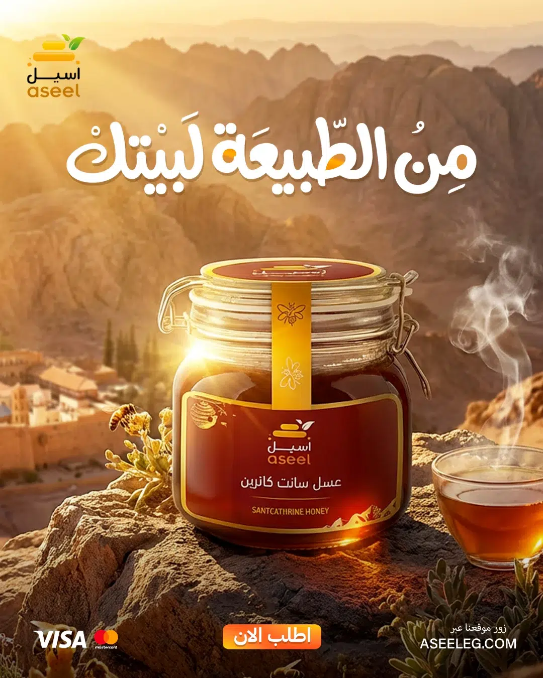 الصفحة الرئيسية