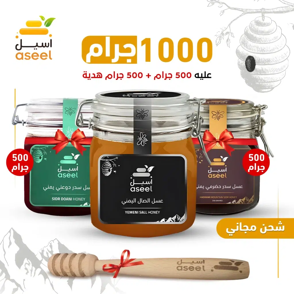 الصفحة الرئيسية