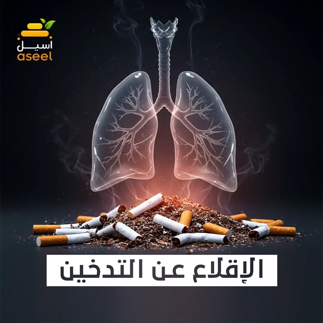 الصفحة الرئيسية