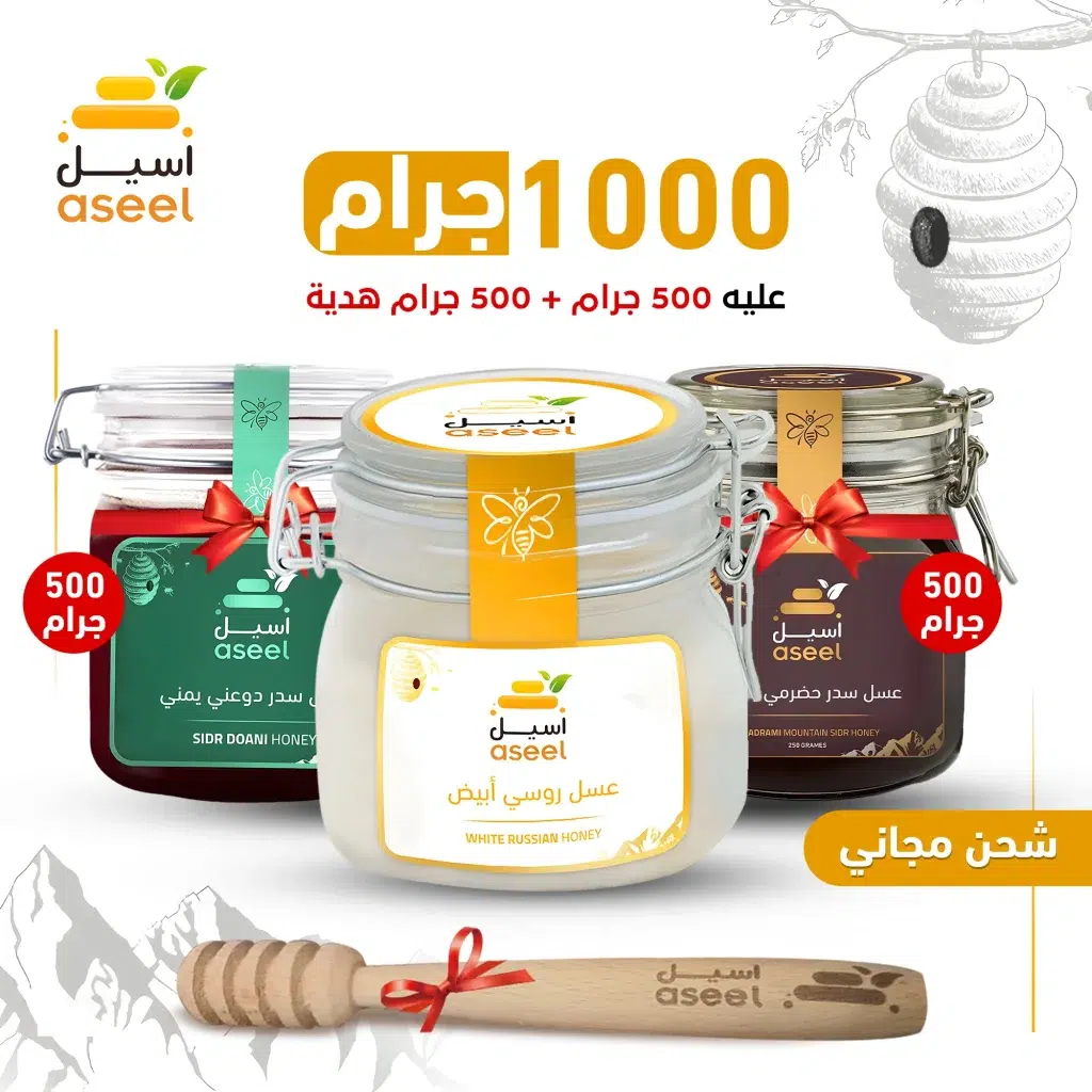 الصفحة الرئيسية