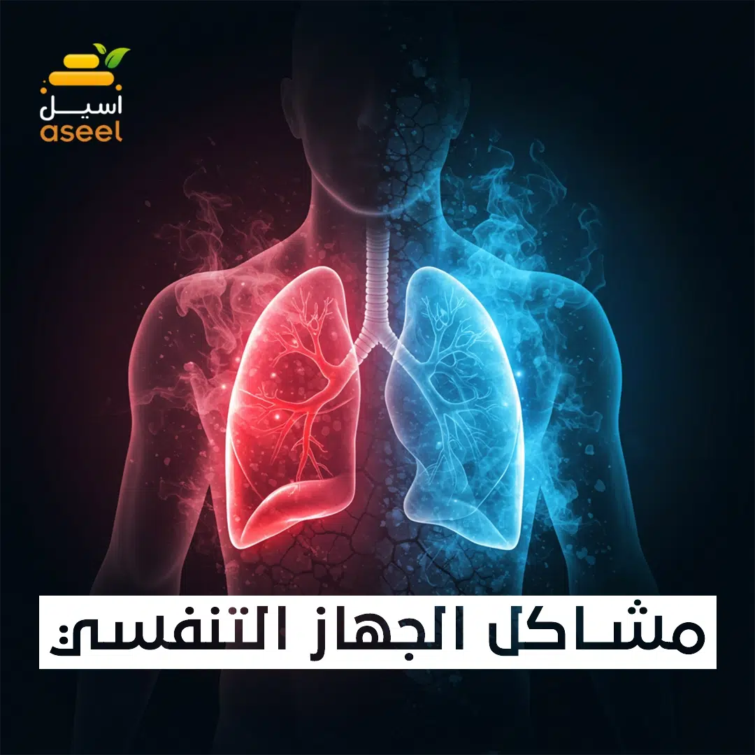 الصفحة الرئيسية