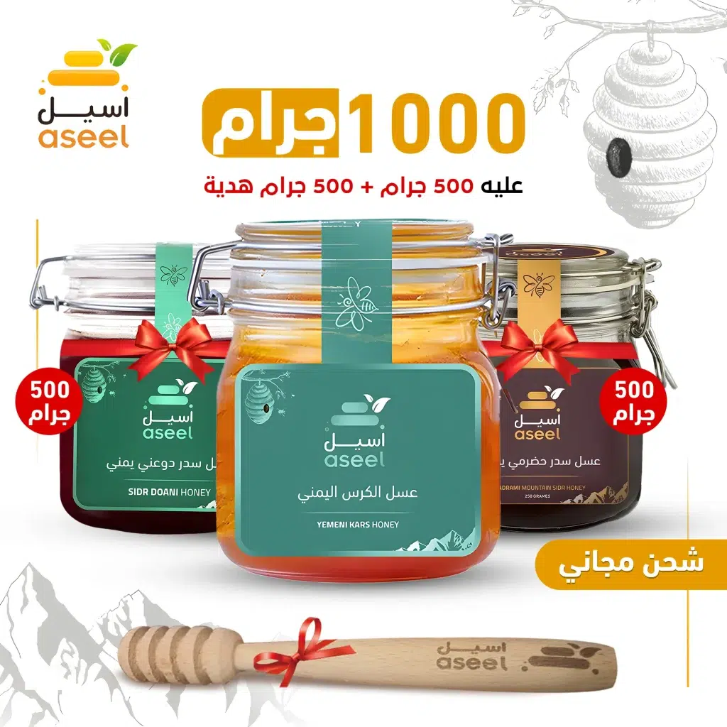 الصفحة الرئيسية