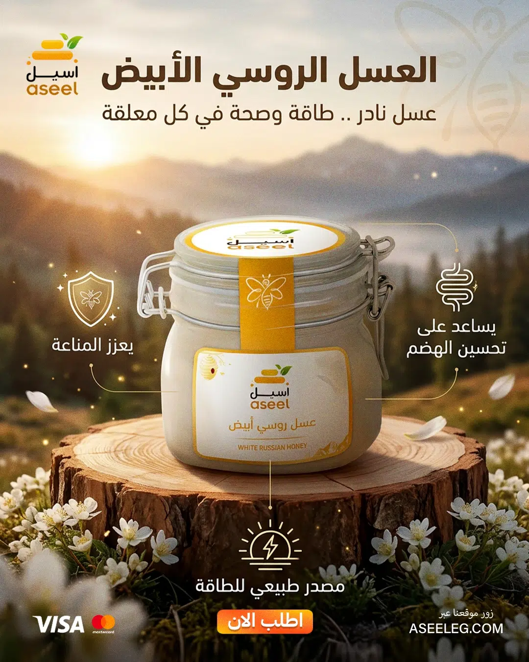 الصفحة الرئيسية