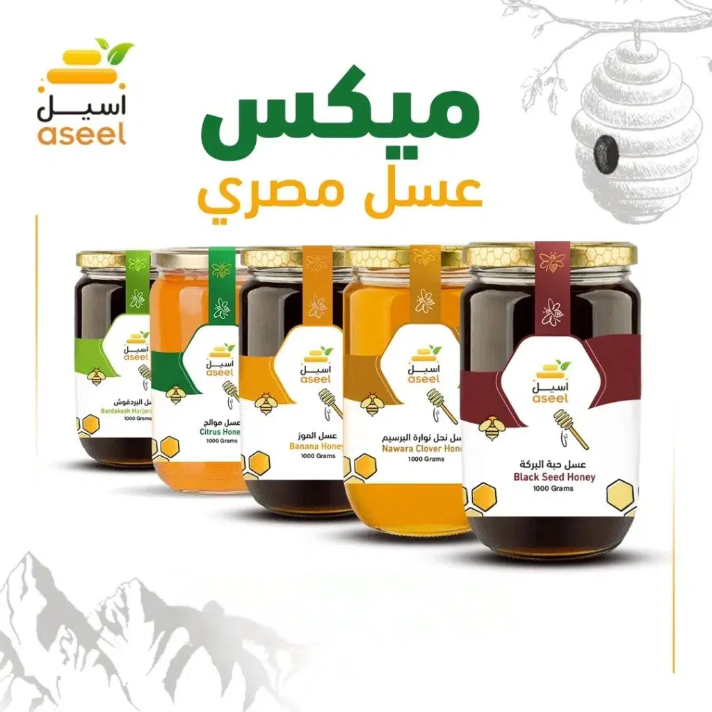 الصفحة الرئيسية