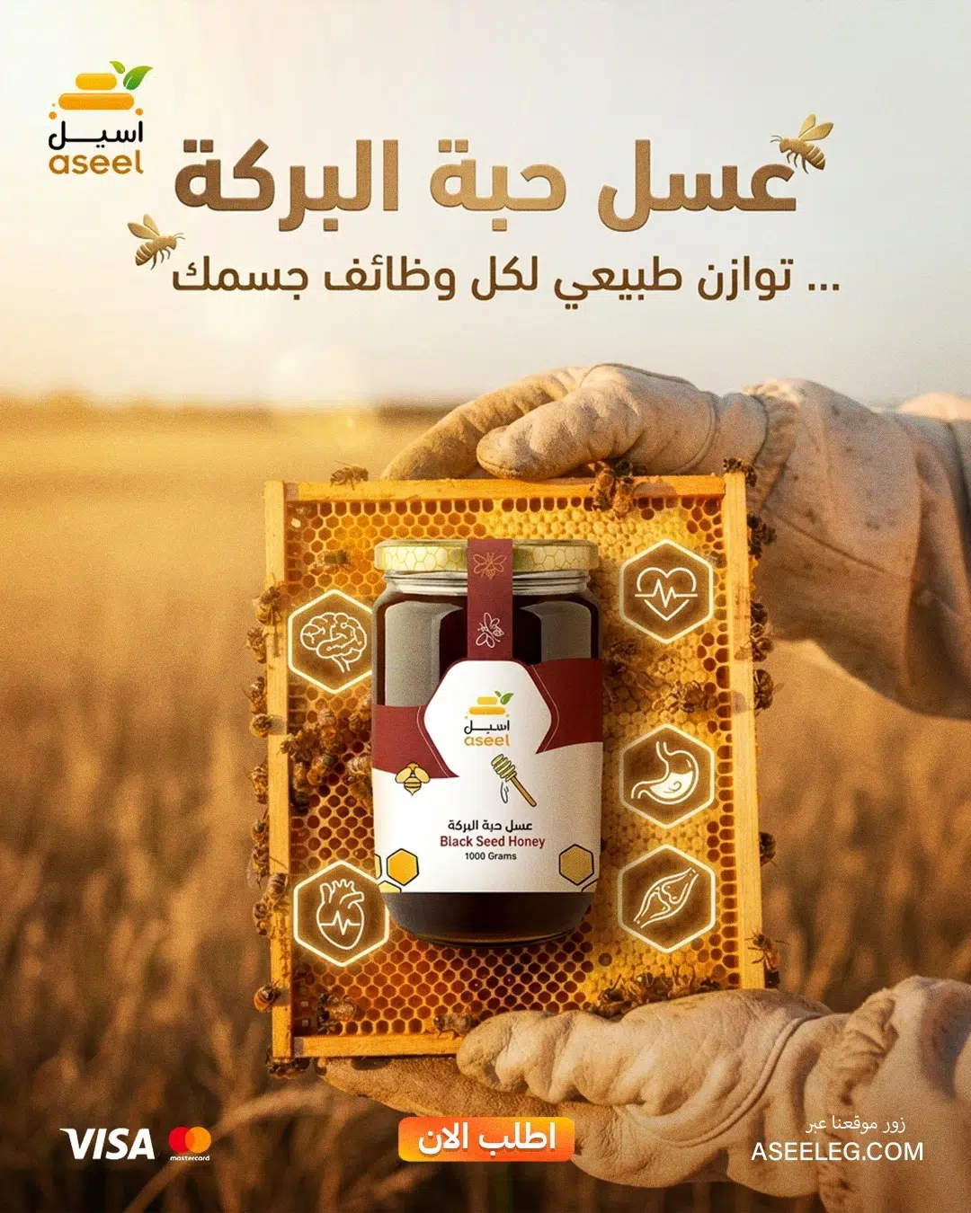 الصفحة الرئيسية
