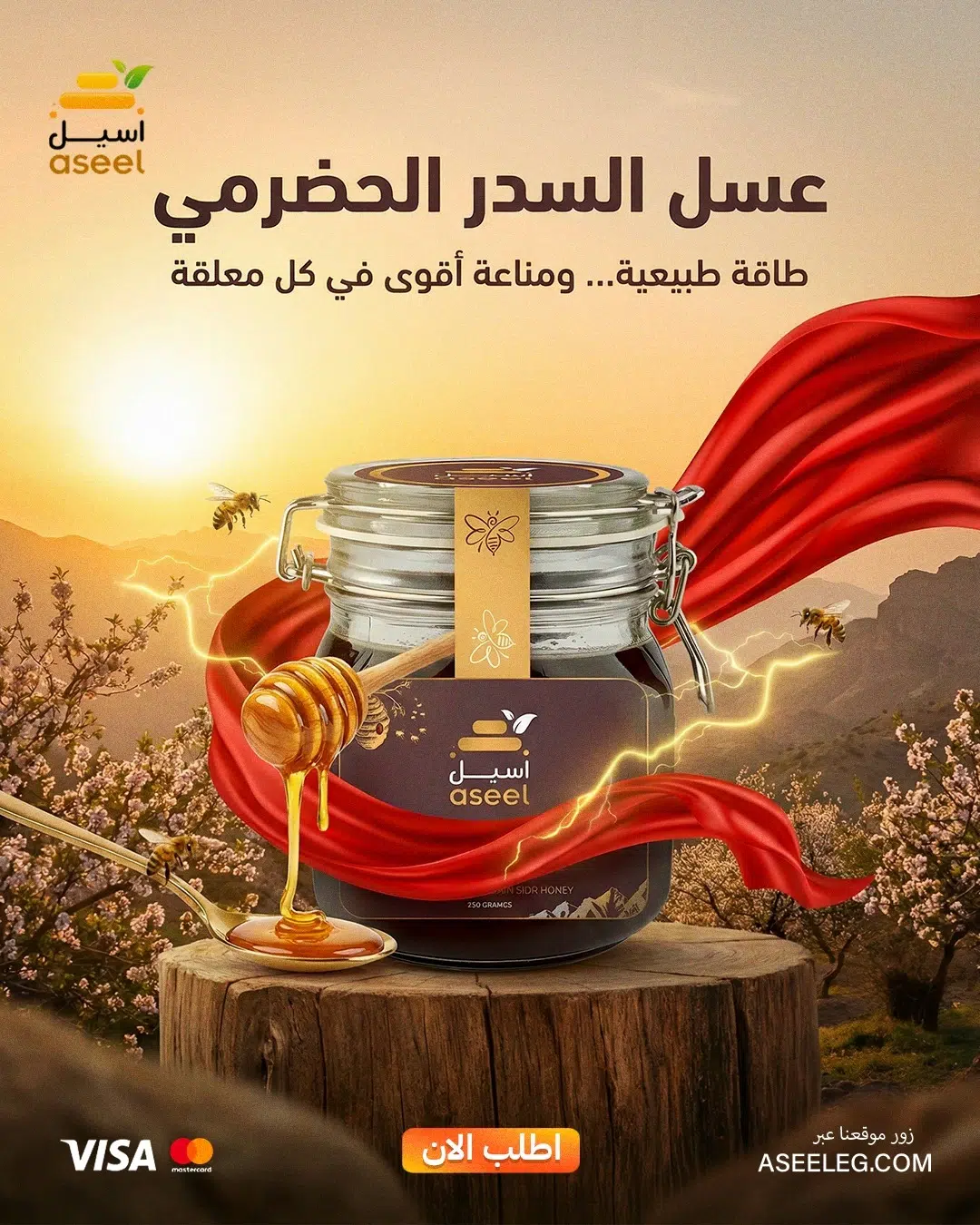 الصفحة الرئيسية
